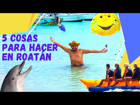 Actividades imperdibles en la Isla Azucarada